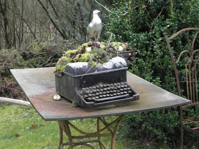 Diese Schreibmaschine dient auch als Dekoobjekt.  | Foto: Hans Peter Schmitt
