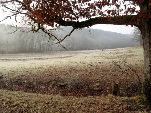 4. Feb.: Romantisches Stadtseetal in Weinsberg | Foto: WandernGabyErich
