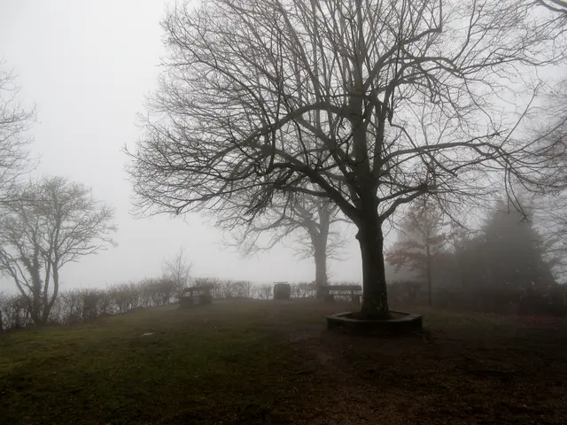 Wartkopf bei Beilstein, schöner Rastplatz | Foto: WandernGabyErich