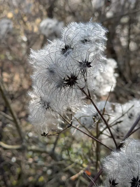 Foto: Eigene Aufnahme