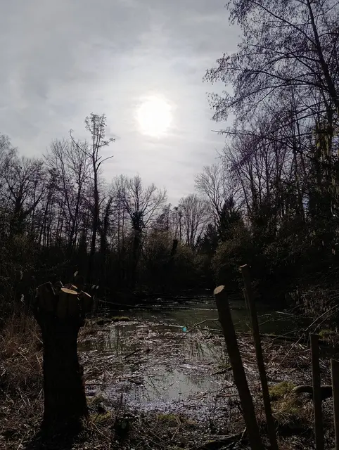 18. Feb.: zurück am Trappensee | Foto: Aurelia Kling