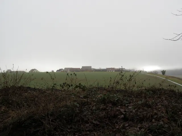 Gagernberg, erste helle Spuren am Himmel | Foto: WandernGabyErich