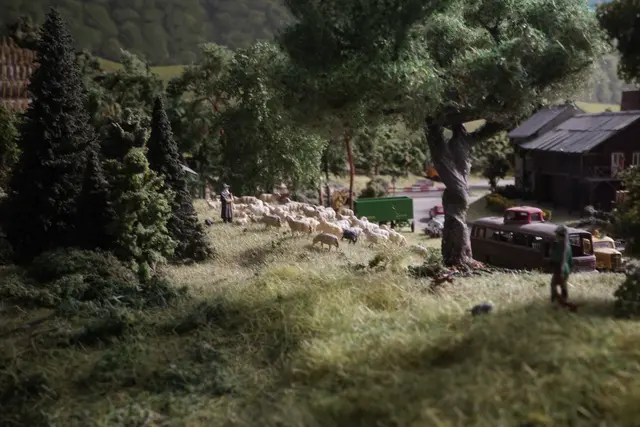 Mehr Schafe als Menschen unter den wachsamen Augen von Schäfer und Jäger! | Foto: ECH - Helmut Epp