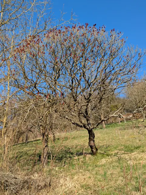 Foto: Eigene Aufnahme