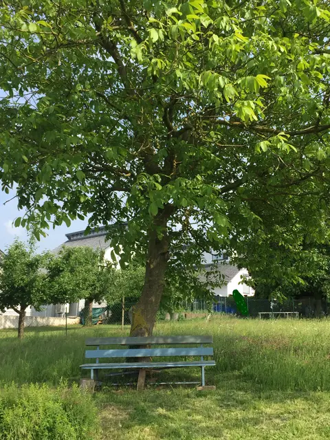 Heide Böllinger erzählt sehr anrührend von dieser alten blauen Bank, die ihr viel bedeutet...  | Foto: Heide Böllinger