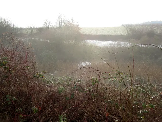 4. Feb.: die Sonne bricht durch den Nebel am Naturdenkmal Wehrle in Lehrensteinsfeld | Foto: WandernGabyErich