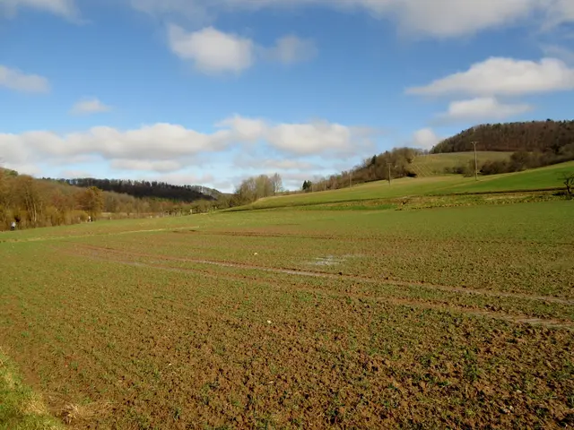 Egal wie, hier durch dieses Tal führte der Landgraben von Jettenbach Richtung Schmidhausen | Foto: WandernGabyErich