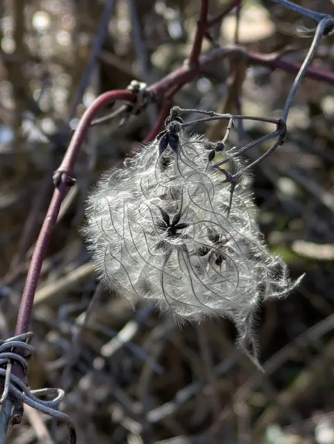 Foto: Eigene Aufnahme