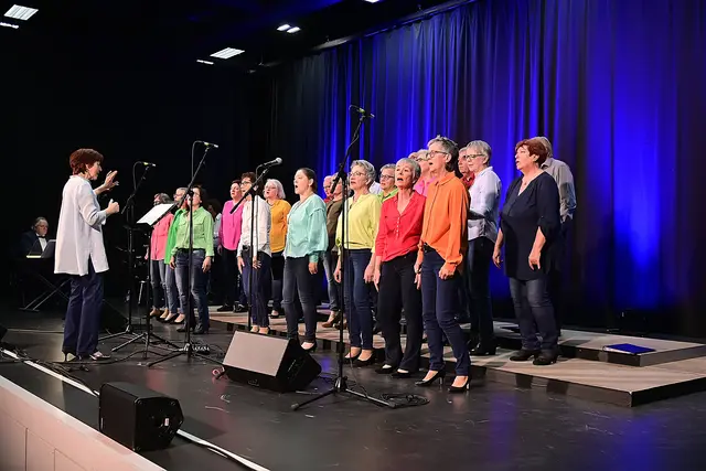 ProVocale | Foto: Chorgemeinschaft
