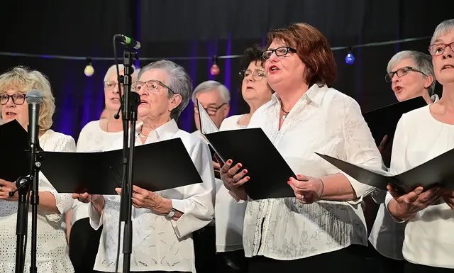 Gemischter Chor | Foto: Chorgemeinschaft