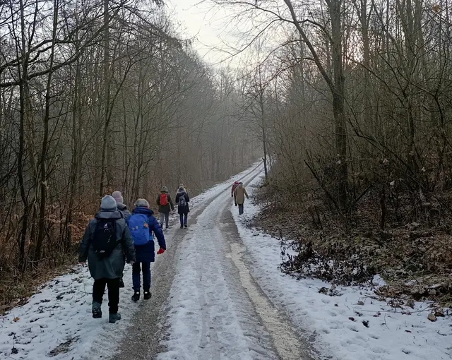 Rutschig war es am 4. Febr. bei der Tour nach Lehrensteinsfeld, hier der Steinsfelder Weg | Foto: Aurelia Kling