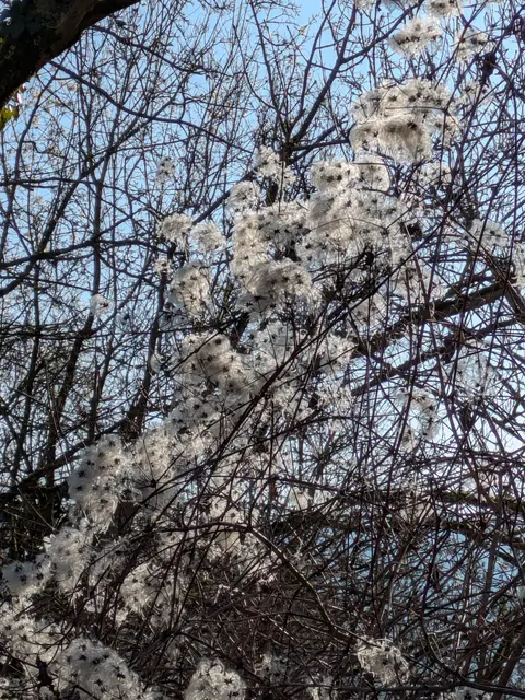 Foto: Eigene Aufnahme