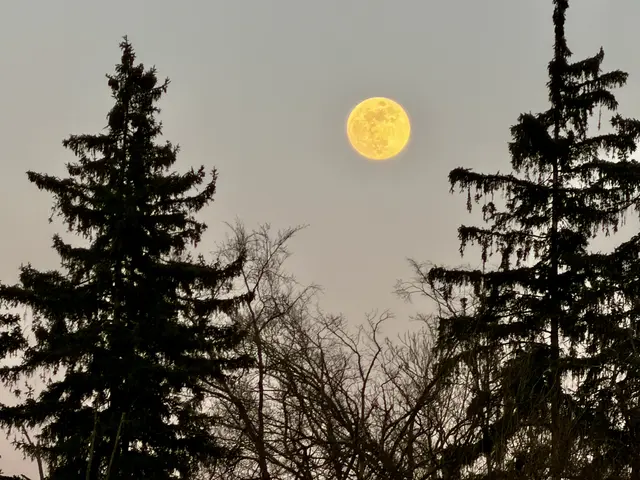 Foto: G.Hölzel