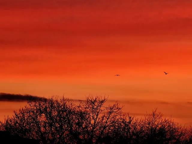 Foto: Heidrun Rosenberger