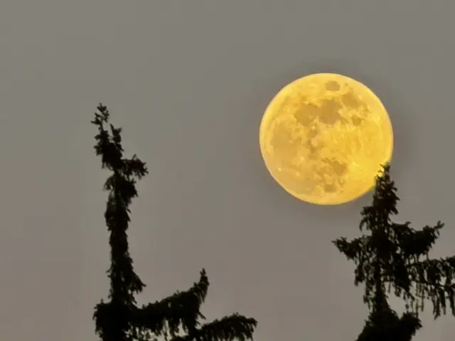 Foto: G.Hölzel