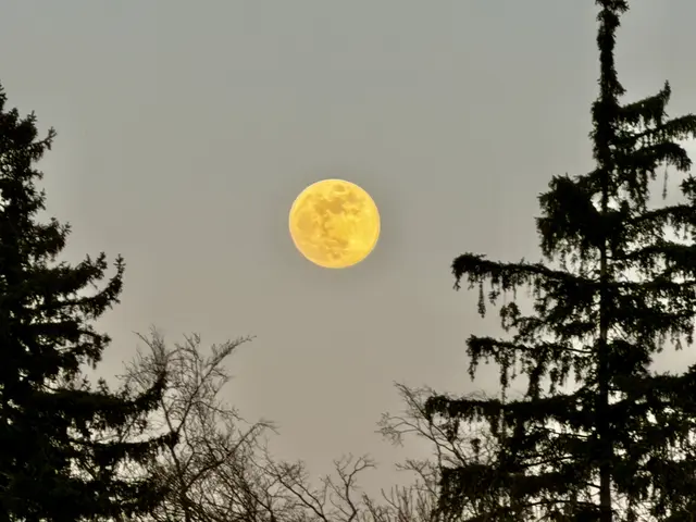 Foto: G.Hölzel
