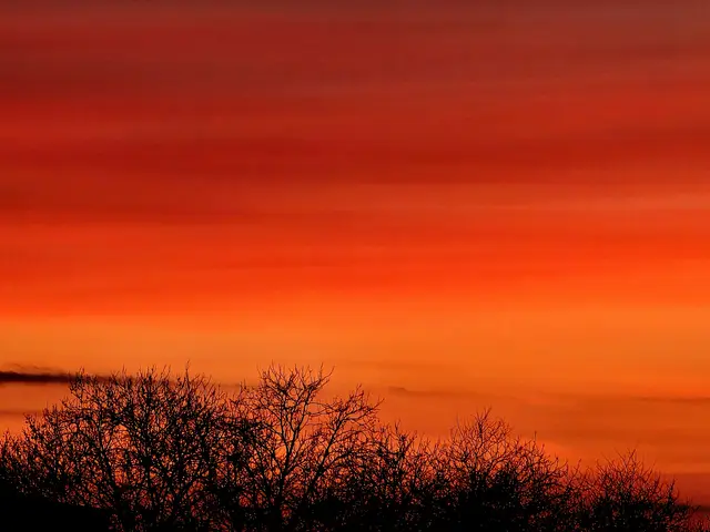 Foto: Heidrun Rosenberger