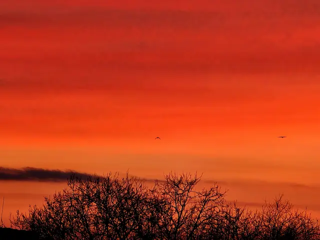 Foto: Heidrun Rosenberger