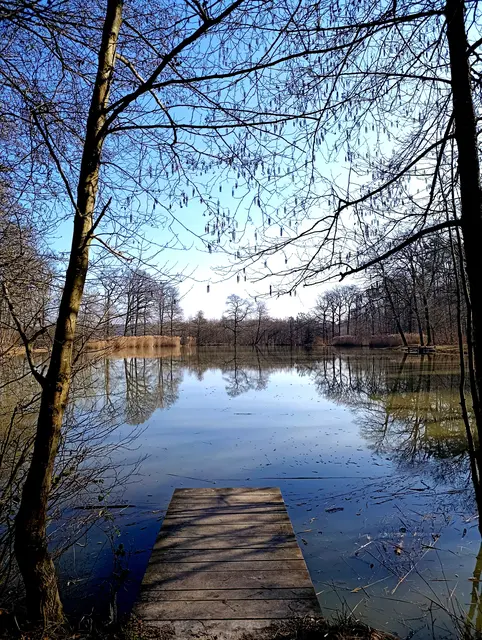 Das geübte Auge der Fotografin. Hamberger See | Foto: Aurelia Kling