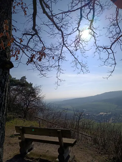 Aussicht vom Spielplatz an der Wachtkopfsteige hinunter nach Gündelbach | Foto: Aurelia Kling