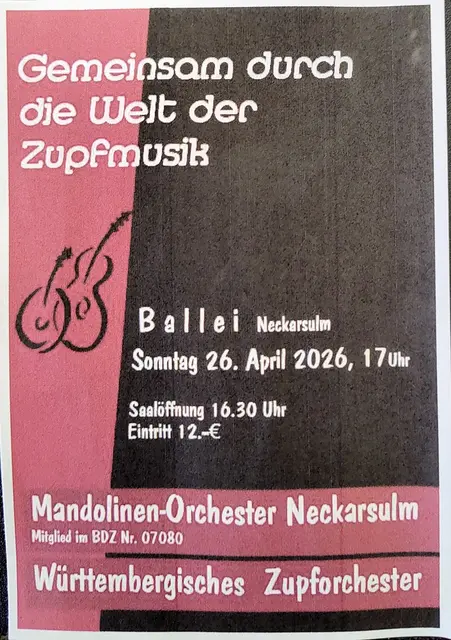 Mandolinen-Orchester Neckarsulm lädt ein | Foto: Mandolinen-Orchester Neckarsulm