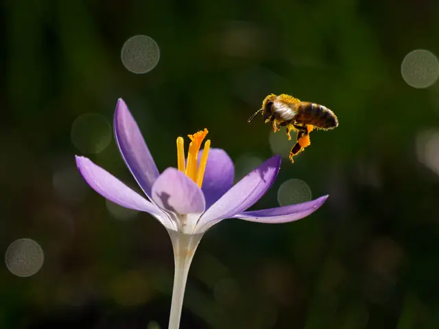 Foto: Eigenes Bild TB