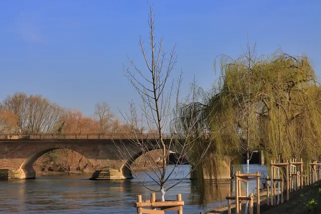 Alte Neckarbrücke, Lauffen am Neckar | Foto: Frank-M. Zahn