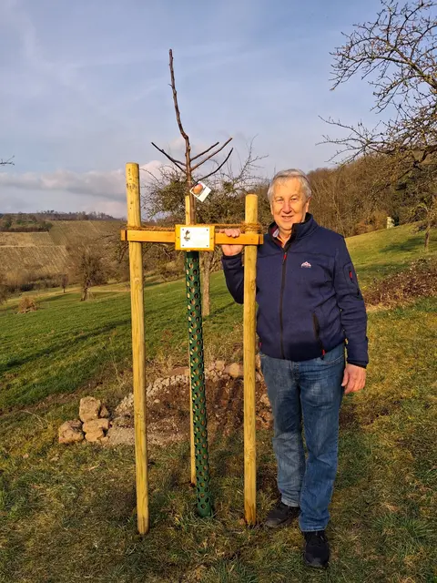 Zu Ehren des neuen Ehrenvorsitzenden des Schwäbischen Albvereins, Ortsgruppe Untersteinbach Manfred Bender wurde ein Apfelbaum auf der Bühler Höhe in Untersteinbach gepflanzt. | Foto: Schwäbischer Albverein, Ortsgruppe Untersteinbach / Dietmar Binder