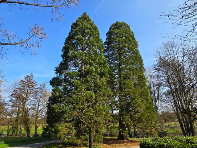 Foto: Heidrun Rosenberger