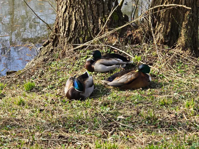 Foto: Heidrun Rosenberger