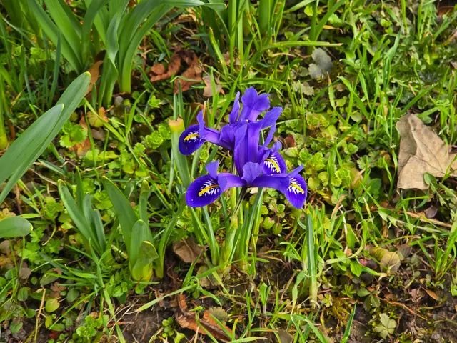 Foto: Heidrun Rosenberger