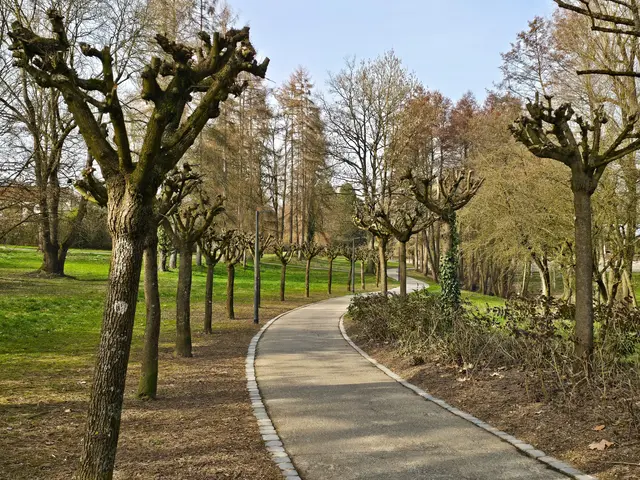 Foto: Heidrun Rosenberger