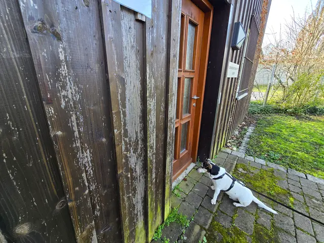 Foto: Heidrun Rosenberger