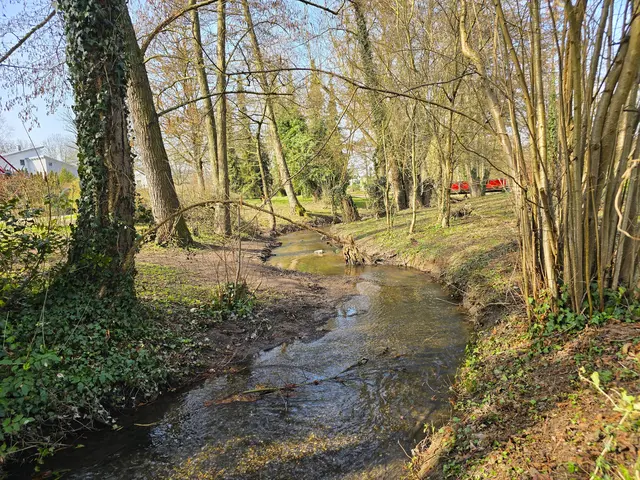 Foto: Heidrun Rosenberger