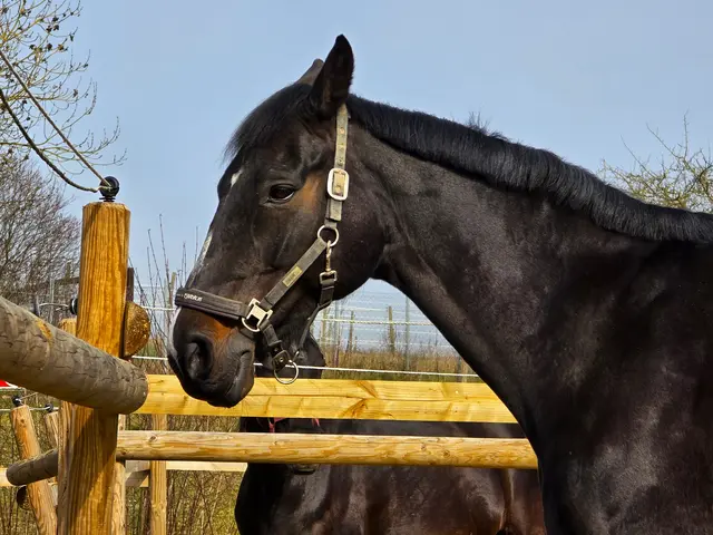 Foto: Heidrun Rosenberger