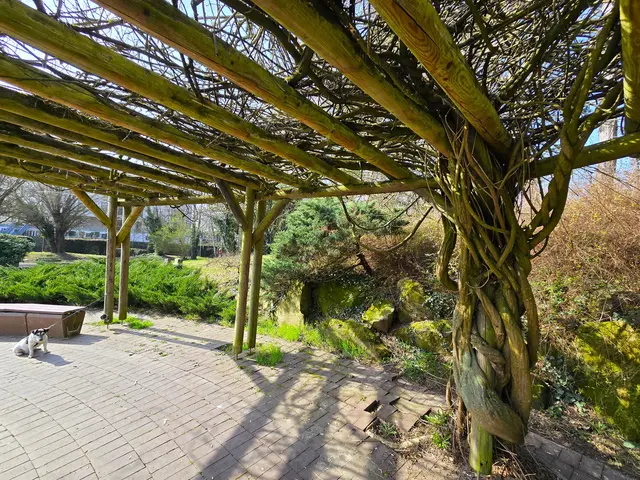 Foto: Heidrun Rosenberger