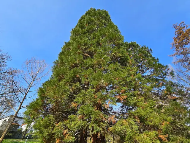 Foto: Heidrun Rosenberger