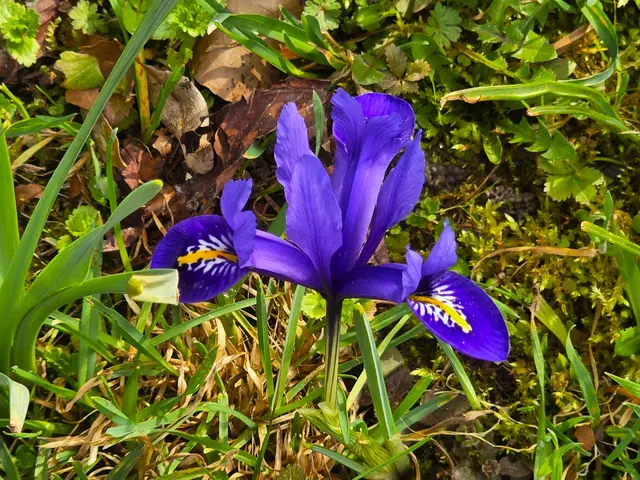 Foto: Heidrun Rosenberger