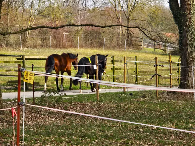 Foto: Heidrun Rosenberger