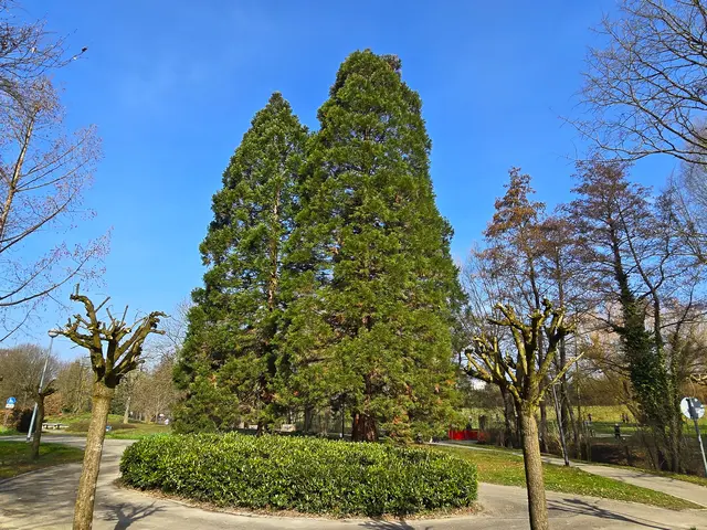 Foto: Heidrun Rosenberger