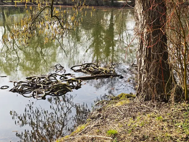 Foto: Heidrun Rosenberger