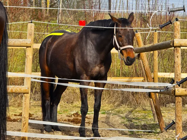 Foto: Heidrun Rosenberger