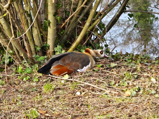 Foto: Heidrun Rosenberger