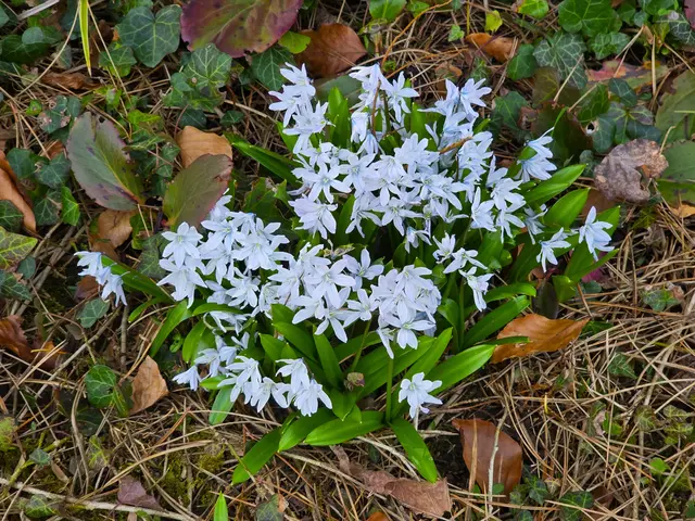 Foto: Heidrun Rosenberger