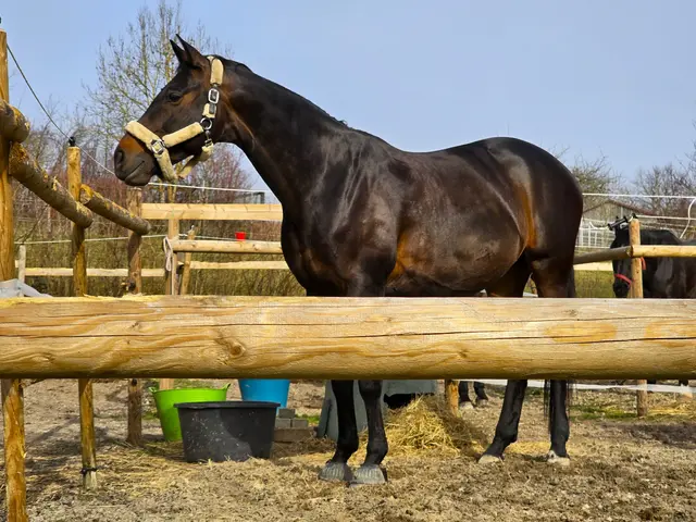 Foto: Heidrun Rosenberger