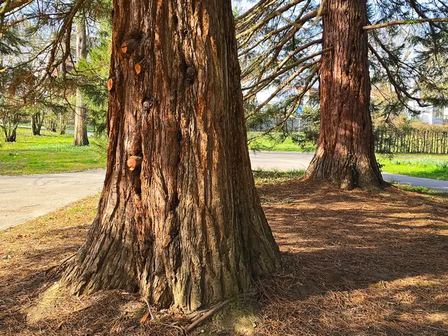 Foto: Heidrun Rosenberger