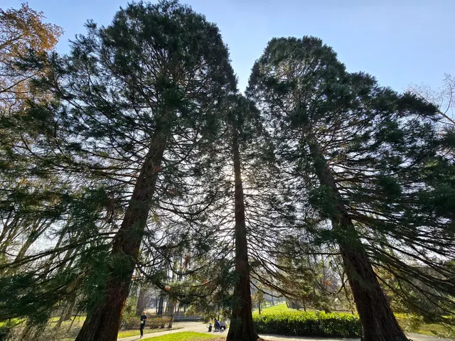 Foto: Heidrun Rosenberger