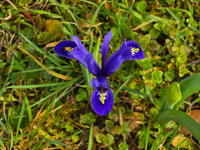 Foto: Heidrun Rosenberger