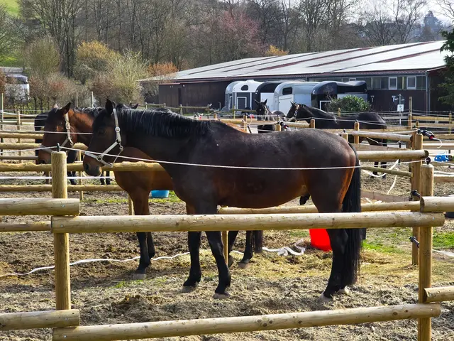 Foto: Heidrun Rosenberger