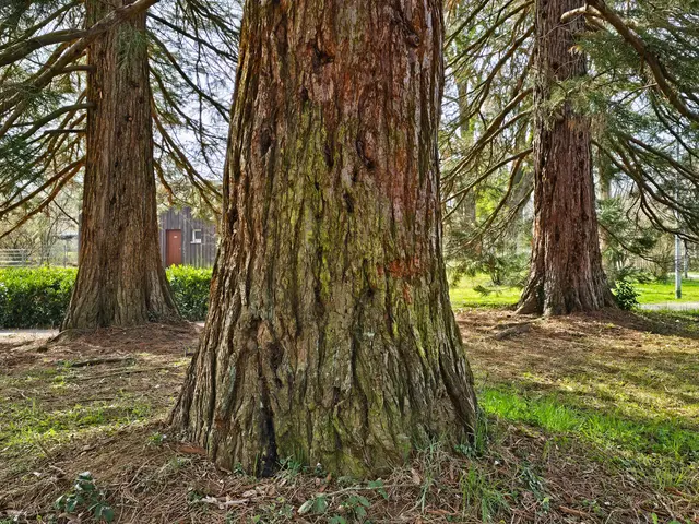 Foto: Heidrun Rosenberger